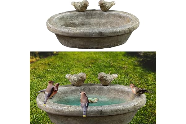 Bain d'oiseaux avec deux oiseaux | Ciment 27 x 20 cm | Bassin d'eau pour oiseaux Décoration de jardin