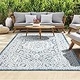 homeart Outdoor Rug - Easy-Clean, Durable, Stain-Resistant, Weather & UV Resistant Indoor & Outdoor Rugs for Porch, Deck, Balcony, Garden, Picnic and Patio | Medallion Blue, Cream - 80x150cm