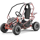 build your own off road buggy