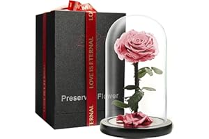 LOVAPPY Preserved Forever Rose in Glass Dome - Beauty and the Beast Romantic Gifts for Her - Eternal Rose Preserved Flowers - Preserved Rose Mother Gifts - Mum Birthday Gifts for women (Pink, 23 cm)