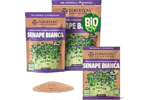 ZenGreens® - Semi di senape bianca biologico - Scegli tra 10g, 200g e 500g - Germogli di senape bianca - Germinazione superiore al 97% - Microgreens