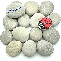 pamindo Steine zum Bemalen & Dekorieren, groß flach & handverlesen - Set mit 50-80 mm großen Kieselsteinen für Bunte…
