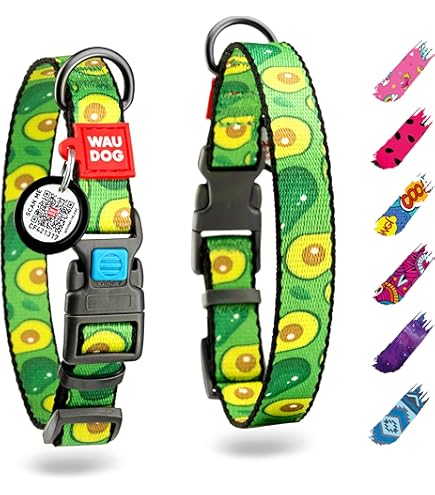 Ebuy.Inc Weihnachts-Halsband & Leinen-Set Für Hunde – Verstellbar, Nylon, 120 Cm Leine, 4 Motive