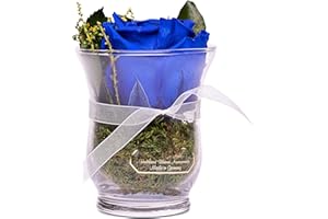 Rosen-Te-Amo, Dia de la madre regalos originales || rosa eterna natural preservada azul perfumada en caja regalo | maceta de vidrio|| Decoracion flores naturales domicilio hecho a mano follaje natural
