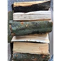 Buche Feuerholz Brennholz Kaminholz Holz trocken 33 cm lang (120 kg)