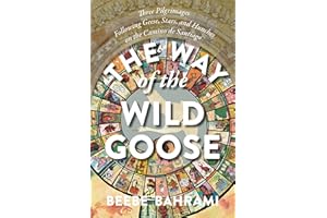 The Way of the Wild Goose: Three Pilgrimages Following Geese, Stars, and Hunches on the Camino de Santiago