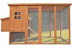 Pets Imperial® Arlington Flat Roof Chicken Coop with Outdoor Run 2.5 m - Chicken House - 250 cm (W) x 76 cm (D) x 103 cm (H)