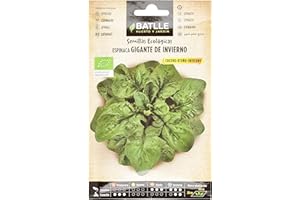 Graines Bio de Batlle - Épinards Géant d'hiver (4g)