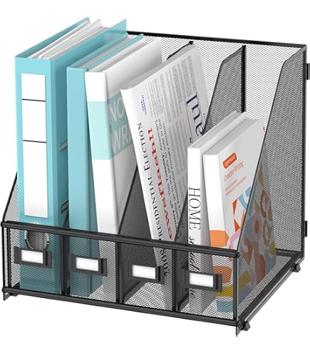 DALTACK Magazine File Holder, Desk Organizer With 4 Vertical File Holder And Drawer