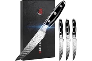 TUO Coltelli da Bistecca 4 Pezzi Set Coltelli da Tavola Seghettati Acciaio Inossidabile Tedesco Set di Coltelli da Cucina con G10 Impugnatura-Black Hawk S Series