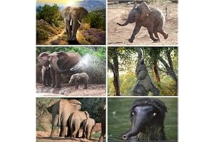 Set de 6 cartes postales animaux ELEPHANTS avec 6 motifs d'éléphants différents par Edition Colibri