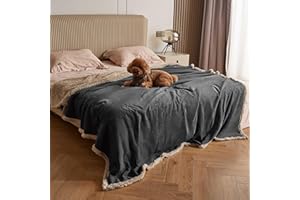 Pawsee Manta Impermeable para Perro, Manta para Mascotas, Manta Impermeable para sofá, Cachorro, Gato, Forro Polar, Cama, Asiento de Coche