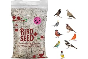 Egardenkart Small Bird Food for Budgies - 20 Kg, Bird Seed for Small Birds and Wild Birds | Bird Feed for Finches Canaries Cockatiel Hookbills doves quail and sparrows Seed mix (20kgs, Budgie)