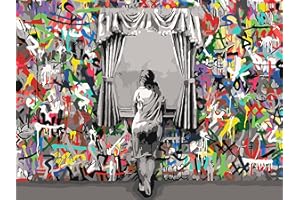 Tucocoo Banksy - Kit de pintura por números de 16 x 20 pulgadas, lienzo Banksy para niños, estudiantes, adultos, principiantes, con pinceles y pigmento acrílico (sin marco)