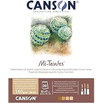 Canson Carta Mi-Teintes (Nido-api),Confezione Da 10 Fogli A4 160
