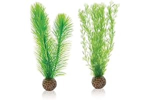 biOrb Lot de fougères S vertes