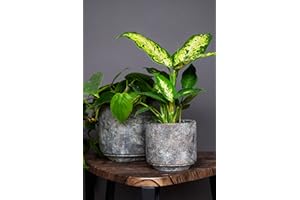 Ivyline Tivoli planter earth D14 H13