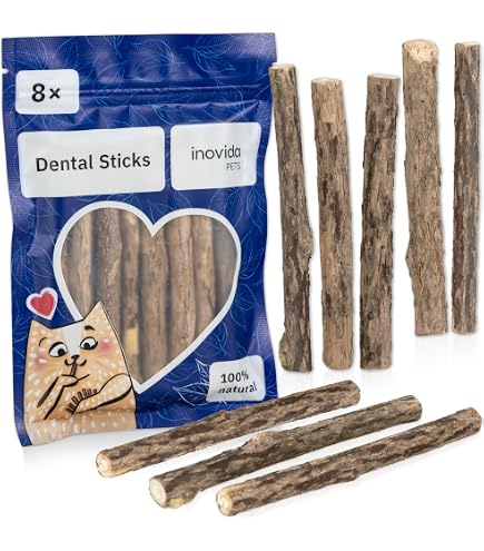 4-teiliges Katzenspielzeug-Set – Knisternde Bonbonform, Fördert Aktivität & Bindung