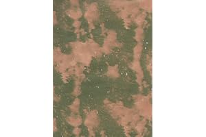 arkamii Paquete de 10 hojas de papel para Belén de tierra y montaña, formato 90 x 65 cm (papel roca 10)