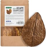 Catappa Leaves Aquarium 12.5-16 cm - Indian Almond Tree Size S 10 Units | For blackwater and freshwater aquariums, leaves wit