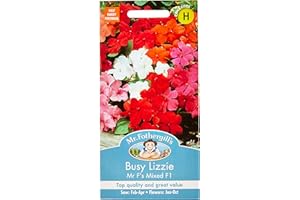 MR FOTHERGILLS Mr Fothergill's Busy Lizzie Mr F's Mixed F1