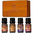 Ecodrop Floral Essential Oil Collection - 4X 5ml Bottles Set | Pure, Natural & Organic Therapeutic Grade Aromatherapy Neroli, Lavender, Ylang Ylang & Rose Geranium Essential Oil Diffuser Gift Kit