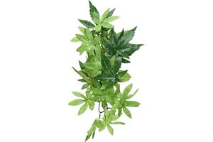 HAGEN Exoterra Décoration Ficus Plante Moyen Modèle pour Reptiles et Amphibiens