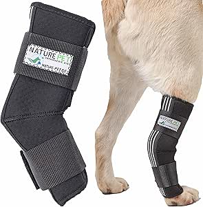 hip hound brace amazon