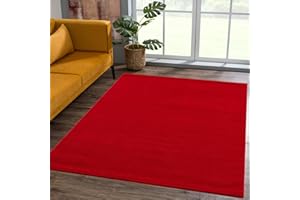 SANAT Dywan z krótkim włosiem do salonu – uniwersalny, nowoczesny dywan do sypialni, gabinetu, biura, korytarza, pokoju dziecięcego i kuchni – czerwony, 60 x 110 cm