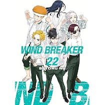WIND BREAKER 22: Amazon.co.uk: Nii, Satoru: 9798888777206: Books