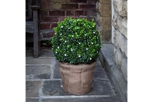 Lights4fun 60 Cool White LED Outdoor Battery Operated Net Light for Topiary Balls, Trees & Bushes – Waterproof Decorative Garden Net Light 8 Lighting Modes Timer Feature