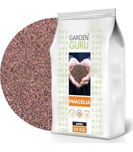 Phacelia tanacetifolia 25 kg Bienenweide Bienenfutter Zwischenfrucht  Trachtpfla. : Amazon.de: Garten