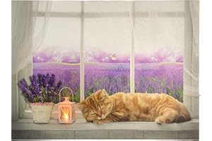 Nexos Trading LED Wandbild Leinwandbild mit Beleuchtung Fotodruck Lavendelfeld 30 x 40 cm 1 LED warm weiß Kunstdruck Leuchtbild Wiese Vintage-Stil Lavendelfeld Katze