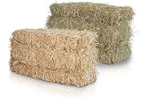 heukoenig.de - Heuballen/Strohballen - aus Wiesenheu - für Kaninchen, Meerschweinchen, Pferde - aus Deutscher Ernte (1 Ballen Stroh + 1 Ballen Heu)