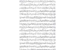 ARKRAFT carta da regalo set 3 fogli formato XXL 90 x 65 cm confezione senza plastica carta FSC (18-8436)