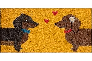 BARONI HOME Zerbino Ingresso Casa in Cocco con Base in PVC Dipinto a Mano raffigurante Bassotti 50X25X2 cm. Facile da pulire e Ultraresistente