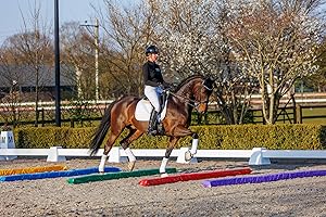 Nedlandic Schaumstoffe Stange (Blau)