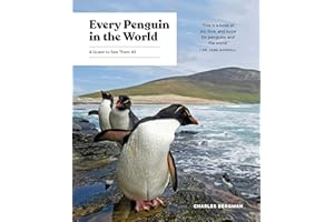 Every Penguin in the World: A Quest to See Them All