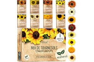 valeaf kit de grain tournesol I assortiment de semences prêt à pousser I 8 variétés de fleurs tournesol I graines pour le jardin, potager et balcon extérieur