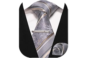 JEMYGINS Cravatta Uomo a Righe Lucide con Fazzoletto e Fermacravatta