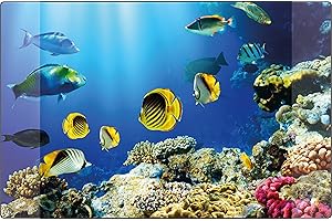 Sottomano Kangaro PP 38 x 58 cm Acquario Design