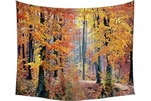 GENERIC Green Misty Forest Tapestry Wall Hanging Nature Landscape Tapestry Sunshine Through Tree Tapestries for Bedroom Living Room Dorm Decor, M 59' ( L ) x 51' ( W )