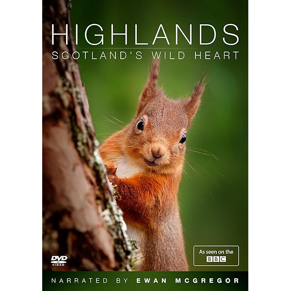 Wild Wales [DVD]: Amazon.co.uk: DVD & Blu-ray