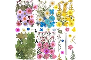 GUANGZHOU 146PCS Real Dried Pressed Flowers and Press Leaves Natural Colorful Handmade Flower Petals for DIY Face Decoration Resin Candle Nail Pendant Crafts Art Floral Decorations (148PCS)