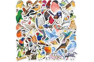 KOWASO Pájaro Acuarela Pegatinas 50 Piezas Pegatinas Estéticas para Botellas de Agua Portátil Álbumes de Recortes Guitarras Equipaje Bicicleta Teléfono Patinetas|Adolescentes Niña Niños Pegatina