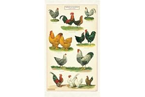 Cavallini Papers & Co. Paño de Cocina de Pollos