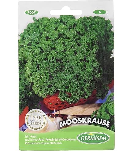 Radice Di Verdure Del Prezzemolo Su Bianco Fotografia Stock - Immagine - Foto 9