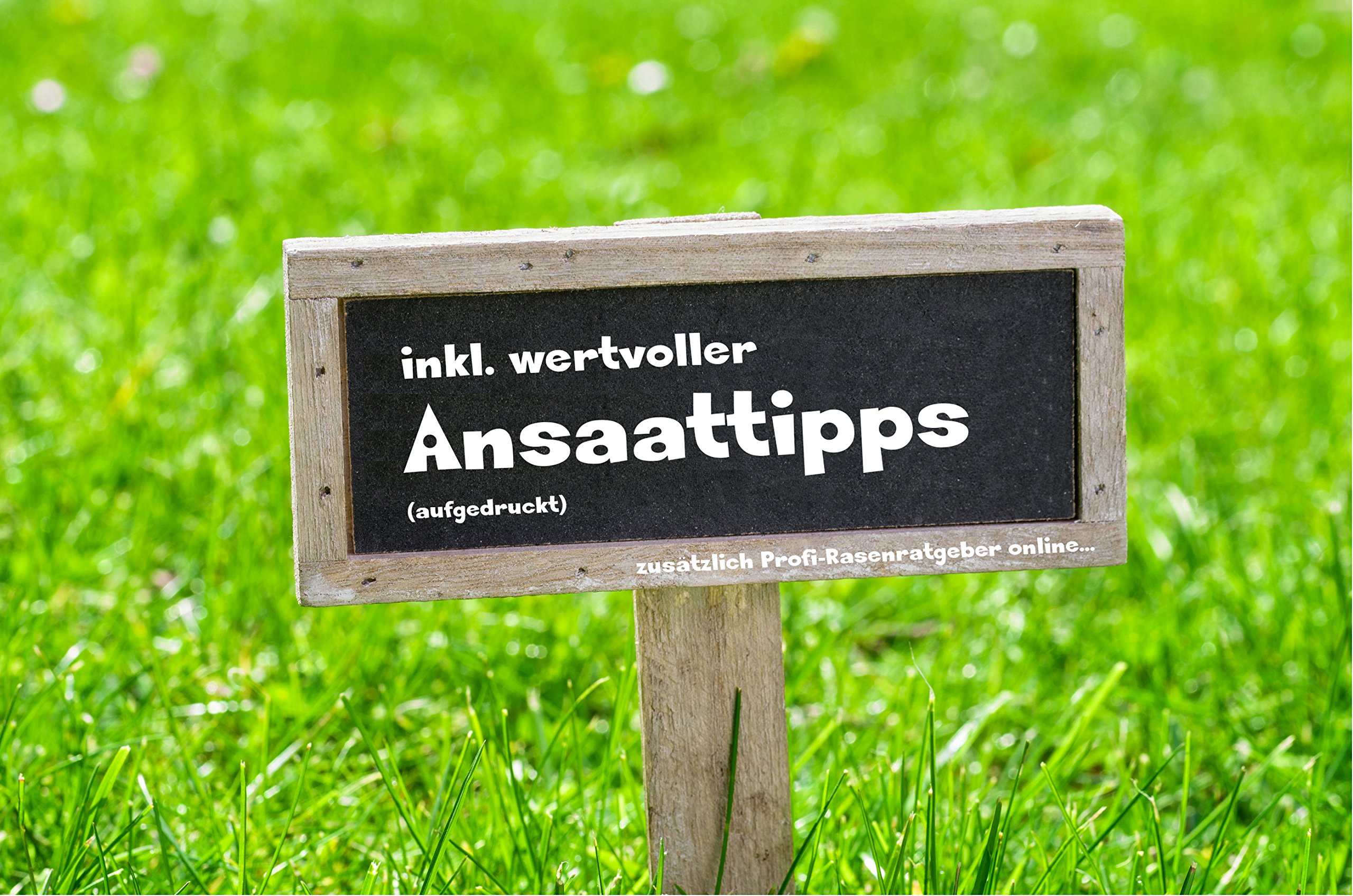 Sport-Rasen I Spiel-Rasen EXPONA Rasen – Rasensaat I Einsaat und Nachsaat – Bild 5