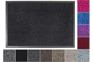 Jan Max Tapis Anti-salissures - 8 Couleurs - paillasson avec 2900g/m2 PP Twisted Heatset Fibre - 2,4l/m2 Absorption d'humidité - Tapis de Course Propre 40 x 60 cm Anthracite