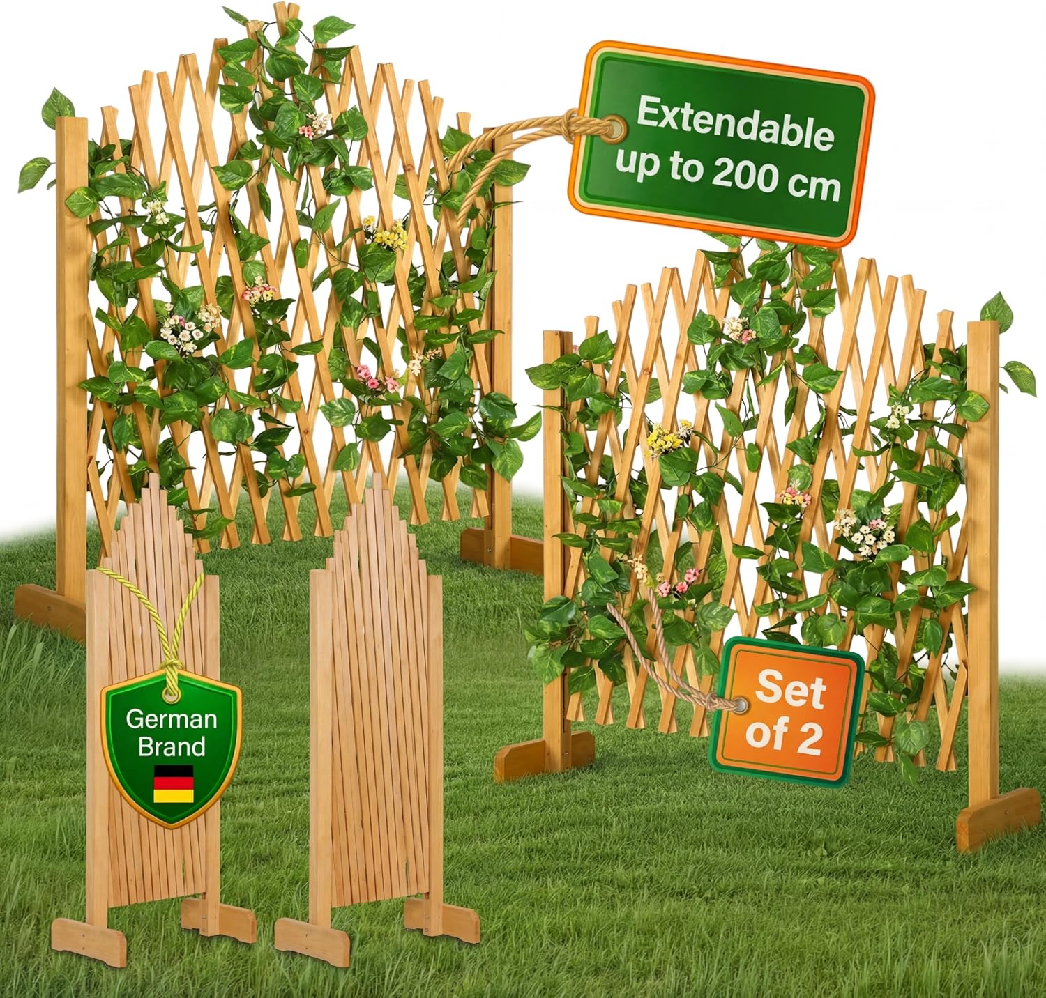 Vue 12